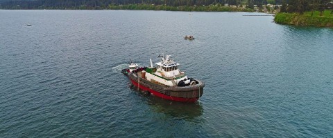 Posted on 05.04.2021 by Nichols Boats